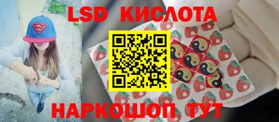 МДПВ Новодвинск