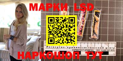 МДПВ Новодвинск