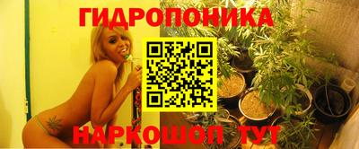 mix Новокубанск
